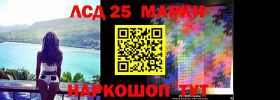крисы Пенза