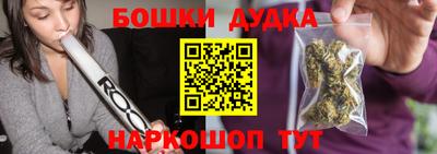 крисы Пенза