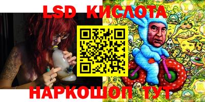 крисы Пенза
