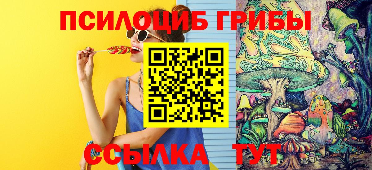 Псилоцибиновые грибы Cubensis  Вход с VPN  Александров  Галлюциногенные грибы Magic Shrooms 
